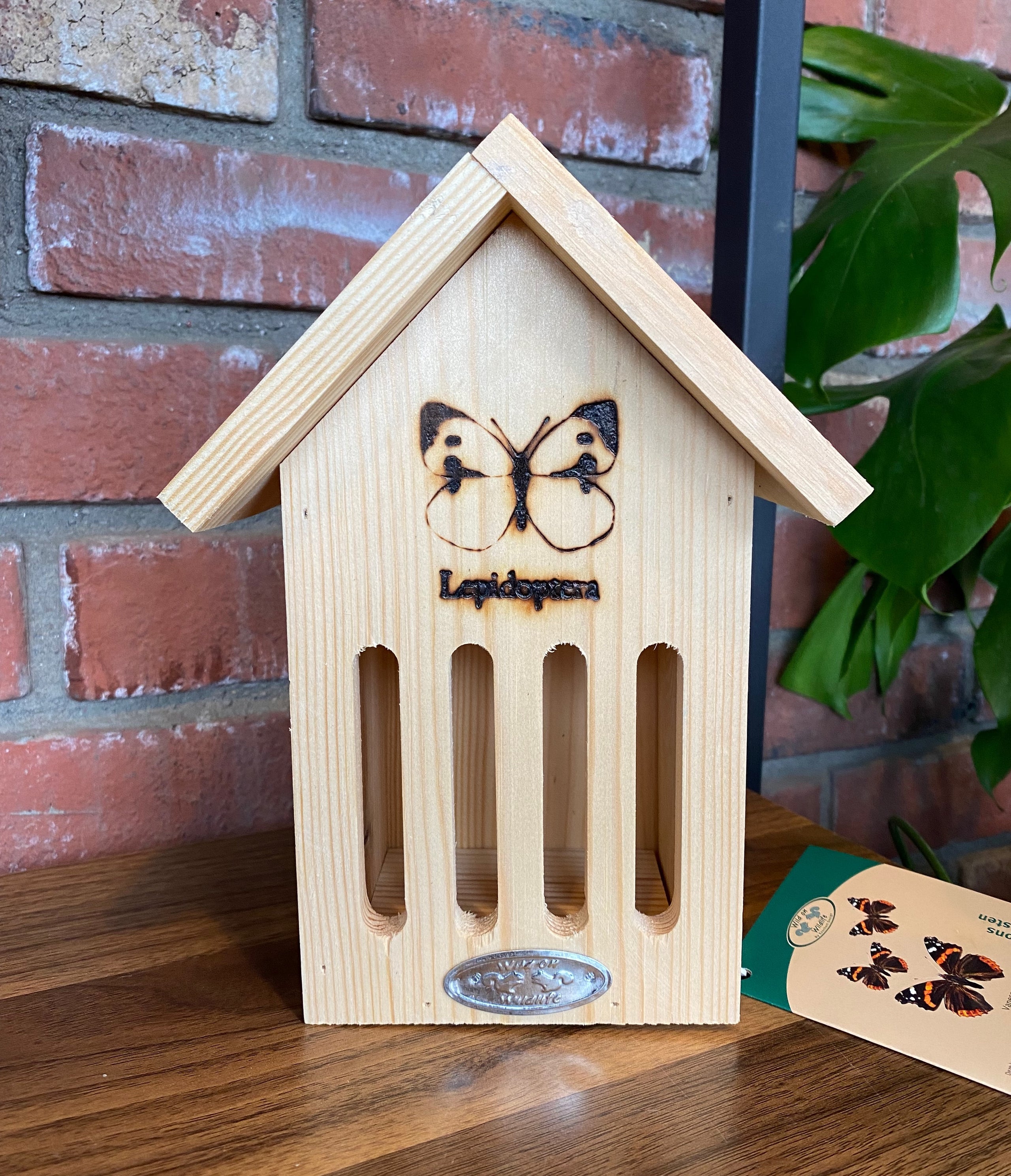 Butterfly House Paisley Gardens